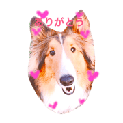 kuutastamp kuutastamp