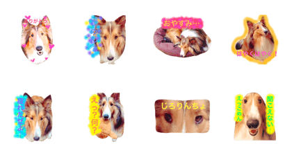 kuutastamp kuutastamp