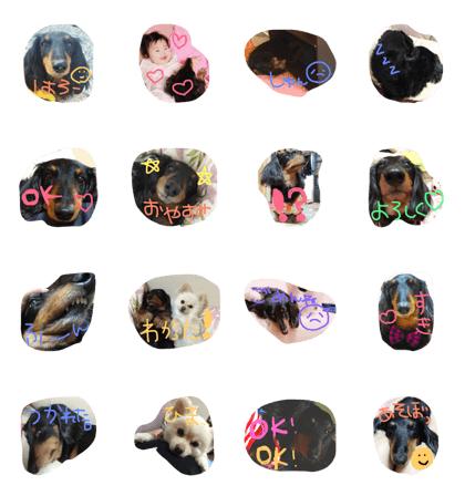 pretty dog hime pretty dog hime