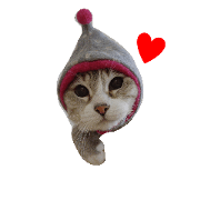 chirochirochiro chirochirochiro