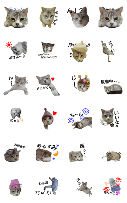 chirochirochiro chirochirochiro