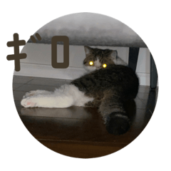 yukari_20210530100514