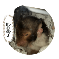 別買會後悔 櫻本舖 專業代購line貼圖