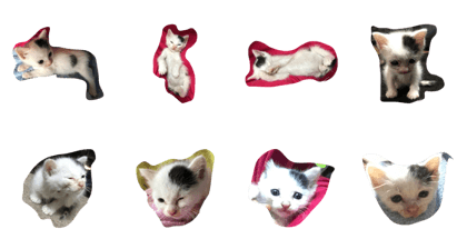 kitty cat Yukichi kitty cat Yukichi