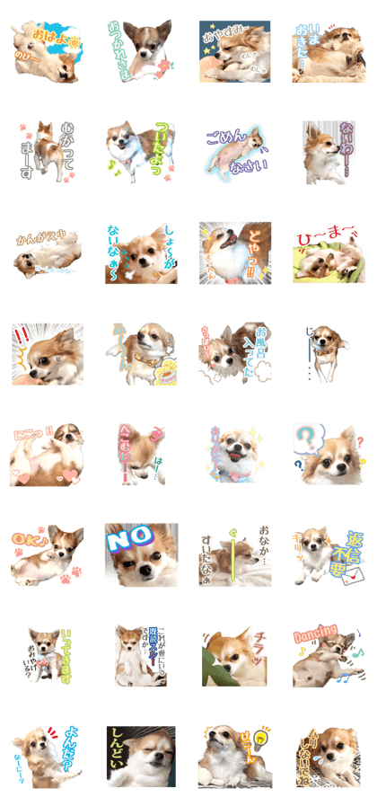 Morikawa's dog stamp Morikawa's dog stamp