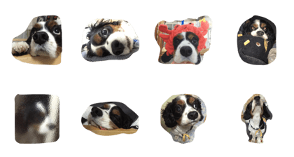 GO!GO!Baru! GO!GO!Baru!