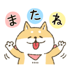 Custom Daily life of a cute Shiba dog