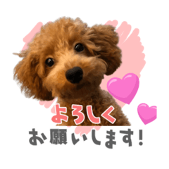 KUU_20210529193930