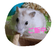 kawaiianimaru kawaiianimaru