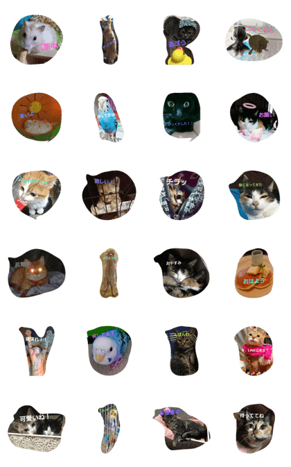 kawaiianimaru kawaiianimaru