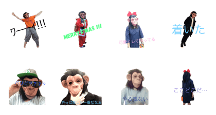 not chimpanzee but chimpanzee not chimpanzee but chimpanzee