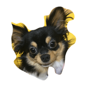 Marlo's stamp Marlo's stamp