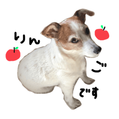 Natsumi_20210529191904