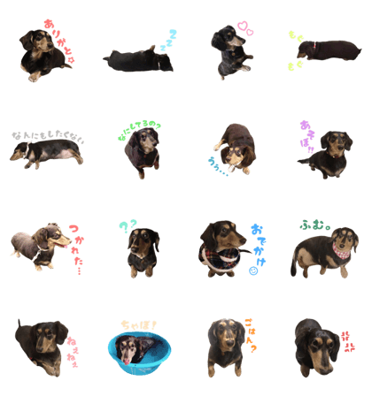 MARRON's face sticker MARRON's face sticker