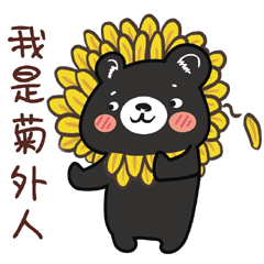 Huaxin Taiwan Black Bear Black Meatballs