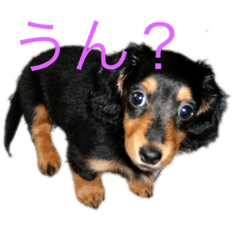 SATOSHI_20210529204206