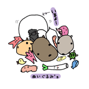 Bichon frise MILK's ONE day No.3