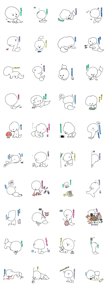 Bichon frise MILK's ONE day No.3