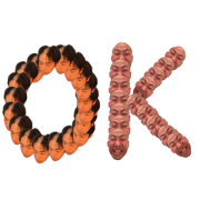 yamamoto&kamiya 2 yamamoto&kamiya 2