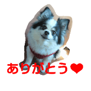 Leon's daily conversation