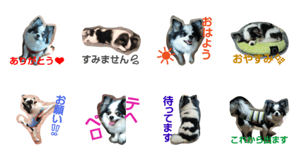 Leon's daily conversation