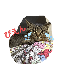 hana_20210529212313