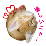 Red tabby's Nyanta Part 3