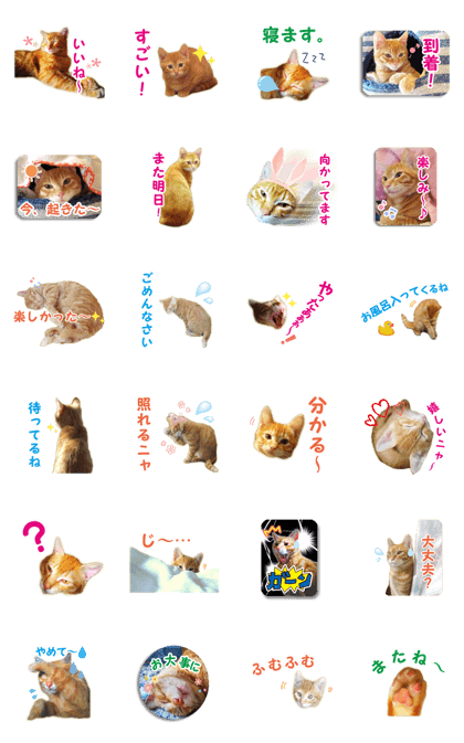 Red tabby's Nyanta Part 3