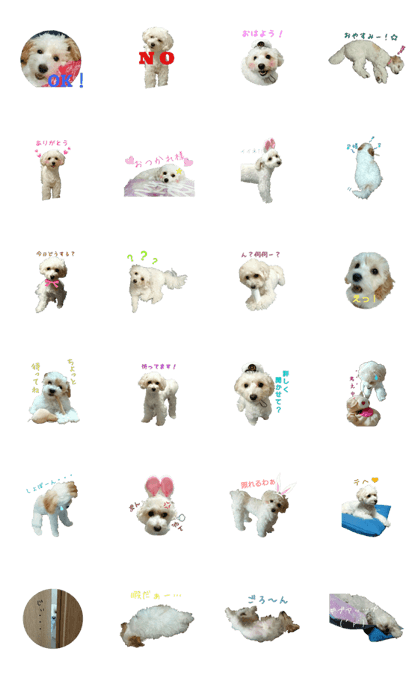 Daily life stamp of a pretty pet dog Daily life stamp of a pretty pet dog