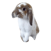 Alandrajat Alandrajat