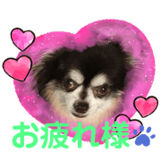 Taka_20210530130042
