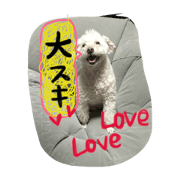 happy dayssss happy dayssss