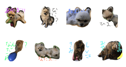 cona&kinako cona&kinako