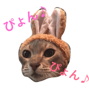 Various event Various event