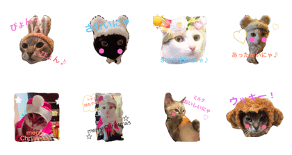 Various event Various event