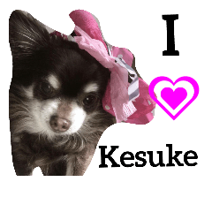 we love Kesuke