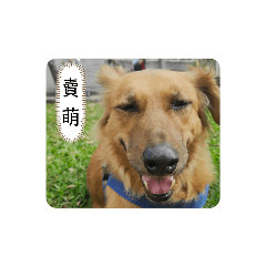YAMI的貼圖