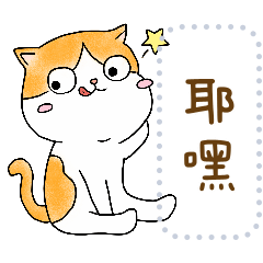 小橘貓【訊息貼圖】