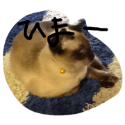 nekooon DASH nekooon DASH