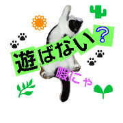 she name is a-chan. she name is a-chan.