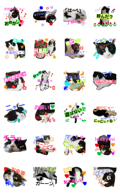 she name is a-chan. she name is a-chan.