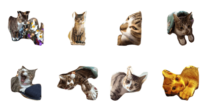 Daily life of MARUKO Daily life of MARUKO