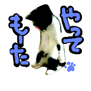 Neko Zura 3 Neko Zura 3