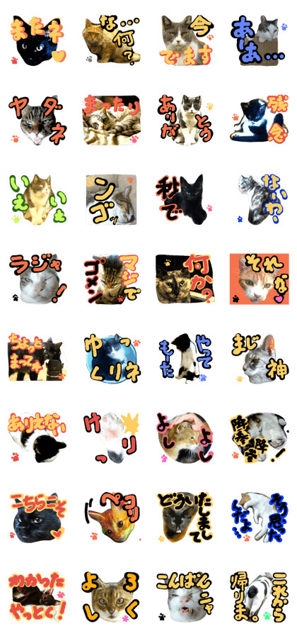 Neko Zura 3 Neko Zura 3