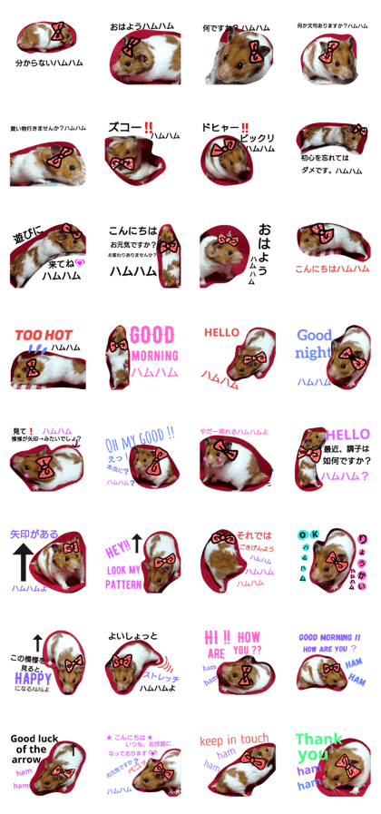 good luck hamster good luck hamster