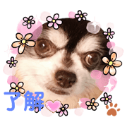 Taka_20210530144041