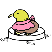 Rare birds Rare birds