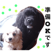 NoaSakura+Elle2 NoaSakura+Elle2