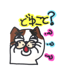 Eve no oneko san