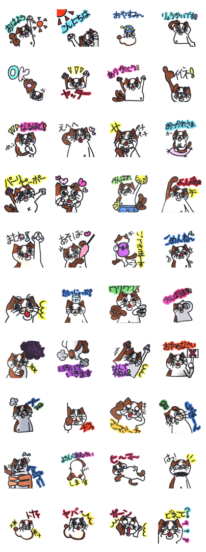 Eve no oneko san Eve no oneko san